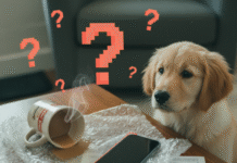 Tech for Beginners: A Guide to Getting Started with New Devices Puppy, phone, spilled coffee, and question marks on a table.