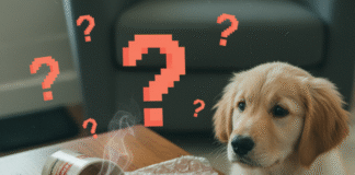 Tech for Beginners: A Guide to Getting Started with New Devices Puppy, phone, spilled coffee, and question marks on a table.